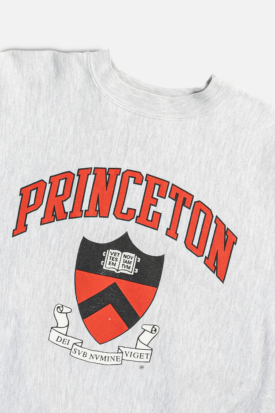 Vintage Princeton Sweatshirt - XL