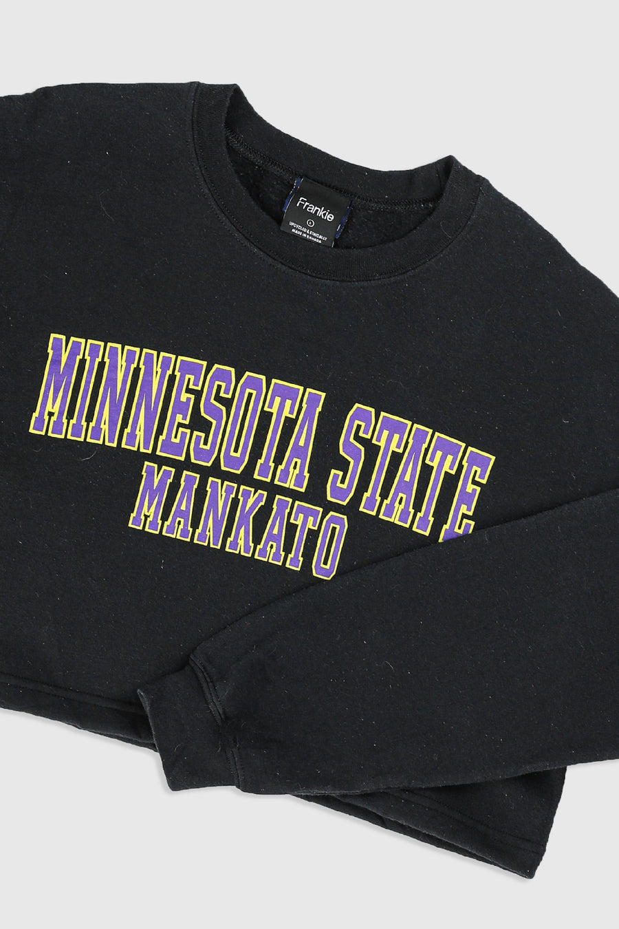 Rework Minnesota State Crop Sweatshirt - L